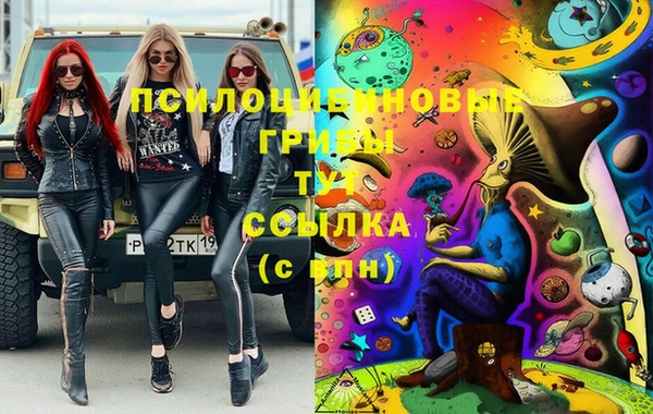 дживик Вязники