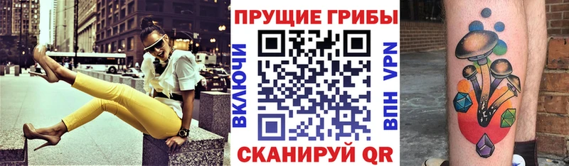 Купить где  Кудымкар  Галлюциногенные грибы Magic Shrooms 