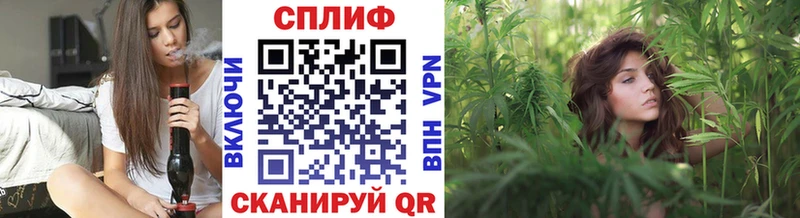 Купить где  Кудымкар  Марихуана Amnesia 